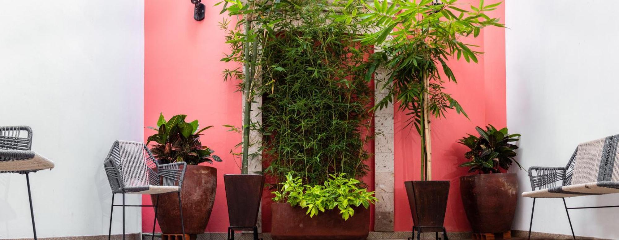 Nueve Agaves Hotel